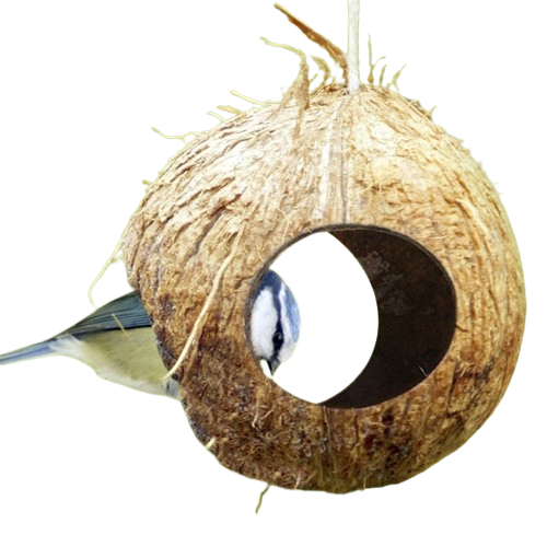 Coconut Shell Three Hole Bird Feeder